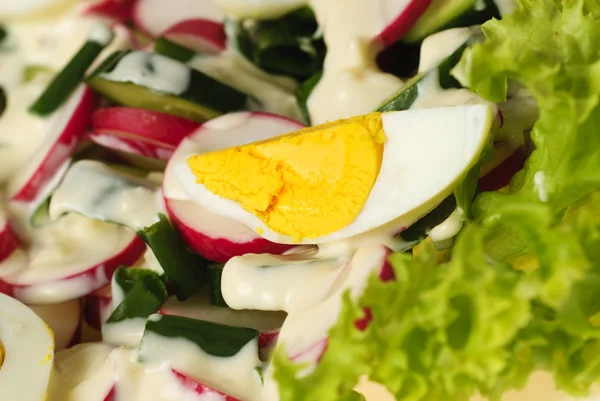 Salát s vejci — Stock fotografie