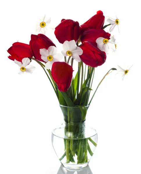 Rode tulpen en witte narcissuses in vaas — Stockfoto