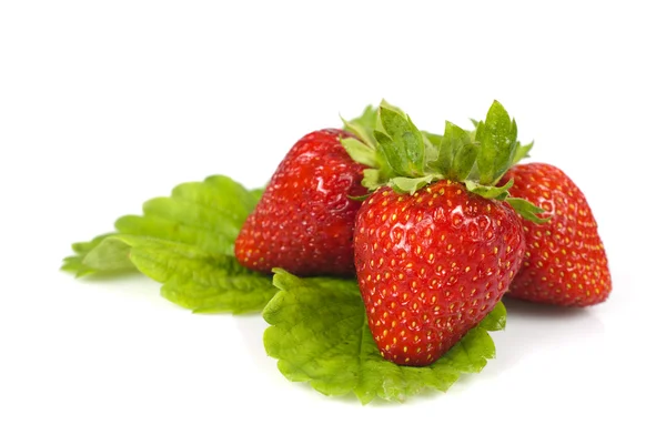 Erdbeeren isoliert — Stockfoto