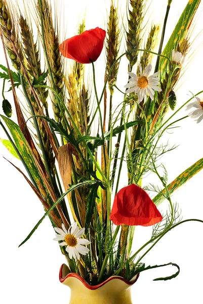 stock image Wild flowers poppy bouquet