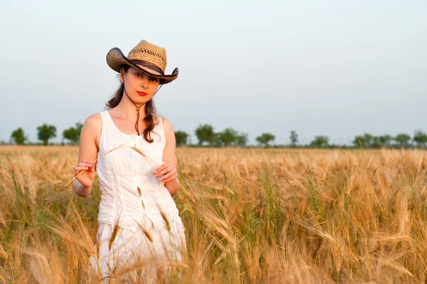Dívka v pšeničném poli — Stock fotografie