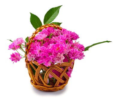 Pink roses in basket clipart