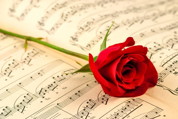 Notas musicales y rosa roja — Foto de Stock