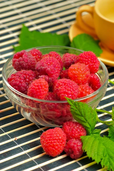 Still life with raspberries — Stock Photo, Image