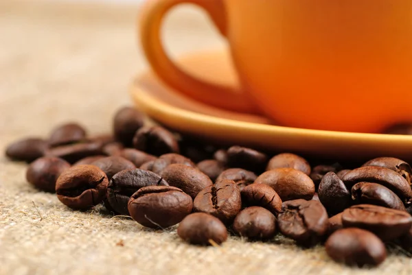 Kaffebönor på uppsamlare — Stockfoto