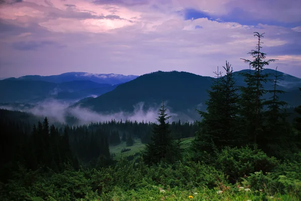 Landschaft mit Nebel — Stockfoto