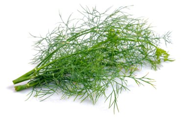 Dill.