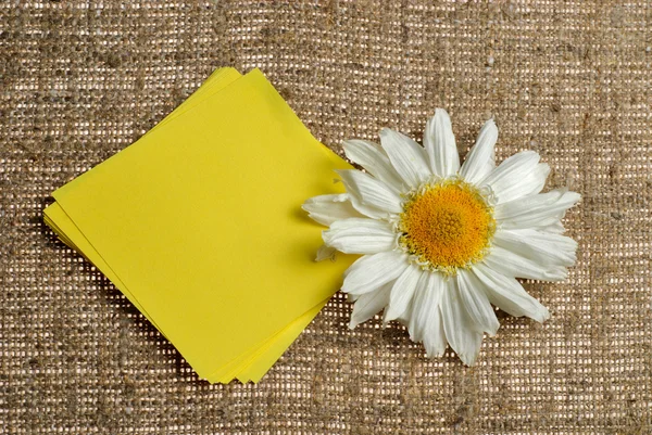 Adesivos com flores em pano de saco — Fotografia de Stock