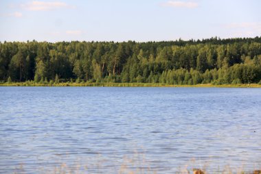 Forest lake yakınlarında