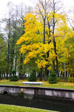 Saint petersburg. Peterhof