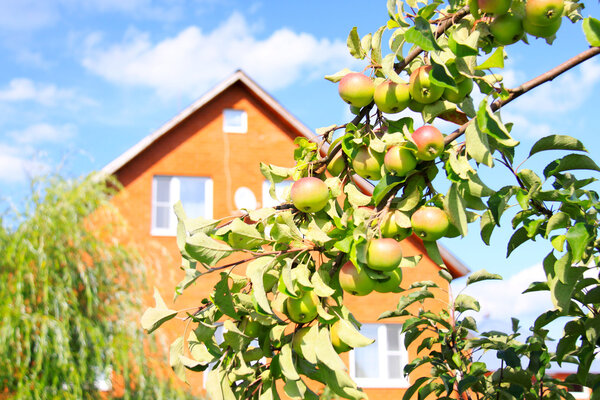 New out of town cottage