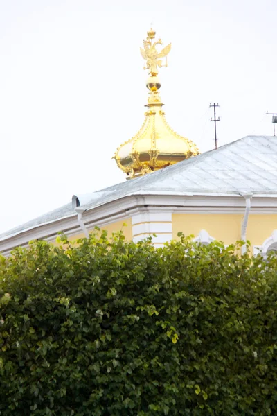 圣彼得斯堡。彼得夏宫 — 图库照片