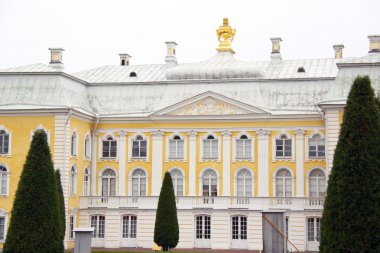 Saint petersburg. Peterhof