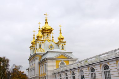 Saint petersburg. Peterhof