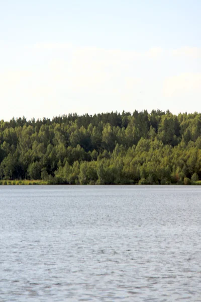 Ижбулат - озеро возле леса — стоковое фото