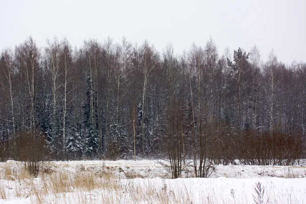 Krásná zimní zasněžená krajina — Stock fotografie