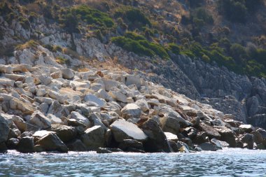 Rock ve Türkiye'deki Deniz