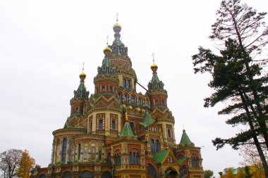 Saint petersburg. Peterhof