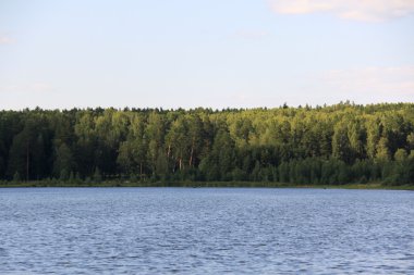 Forest lake yakınlarında