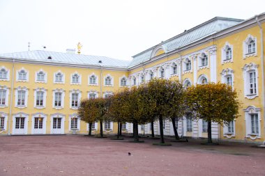 Saint petersburg. Peterhof