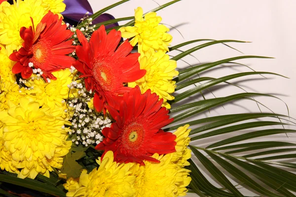 stock image Herbera bouquet