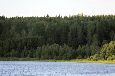 Forest lake yakınlarında