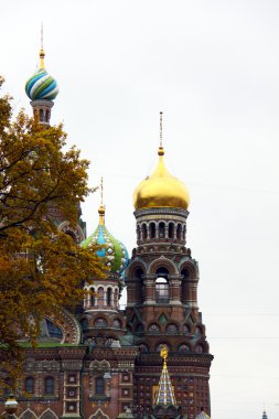 Rusya. Saint-petersburg. Şehir Manzaralı
