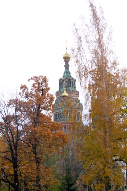 Saint petersburg. Peterhof