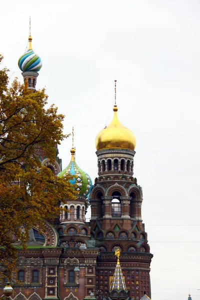 Russia. Saint-Petersburg. City view — Stock Photo, Image