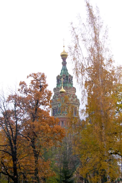 Saint petersburg. Peterhof — Stock Photo, Image