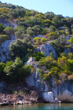 Rock ve Türkiye'deki Deniz