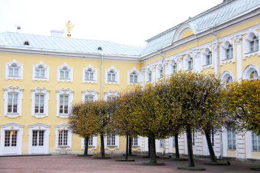 Saint petersburg. Peterhof