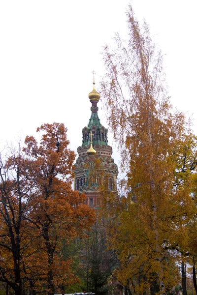 Санкт-Петербург. Петергоф — стоковое фото