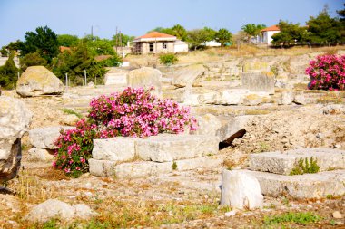 arkeolojik kazı apollo Tapınağı, corinth, Yunanistan.