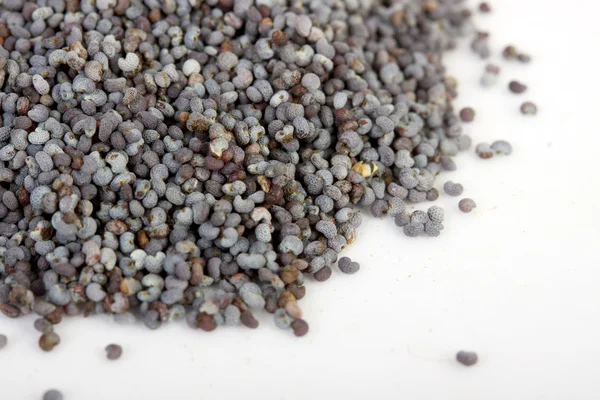 Poppy Seeds (Papaver Somniferum) на белом фоне — стоковое фото