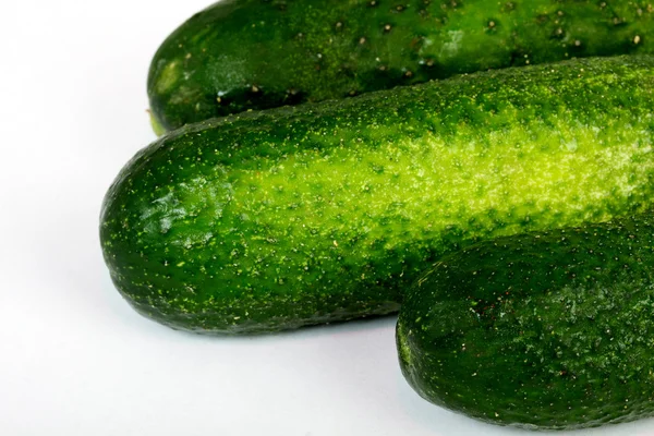 stock image A fresh green cucumber isolated on a white background