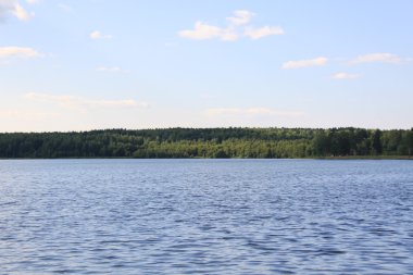 Forest lake yakınlarında