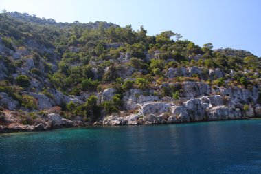 Rock ve Türkiye'deki Deniz