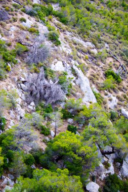 Olimpos - Yunanistan'in