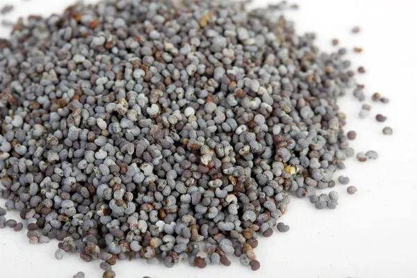 Poppy Seeds (Papaver Somniferum) on white background — Stock Photo, Image