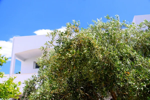 Hagyományos építészetével, oia (santorini-sziget, Görögország) — Stock Fotó