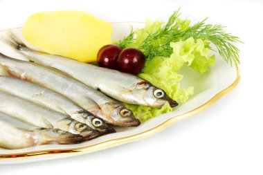 Some smelts isolated on white background