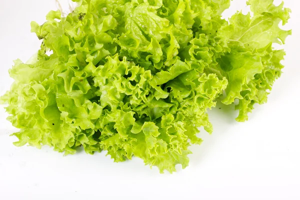 Salatblätter auf einem weißen — Stockfoto