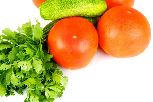 Tomate y pepino con coriandr —  Fotos de Stock