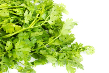 Fresh coriander (cilantro) herb isolated on a white background clipart