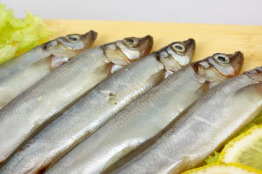 Some smelts isolated on white background