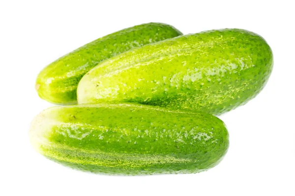 Cucumber isolated on white background. — Stock Photo, Image