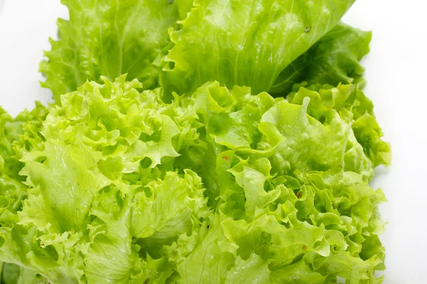 Листи салату на білий — стокове фото