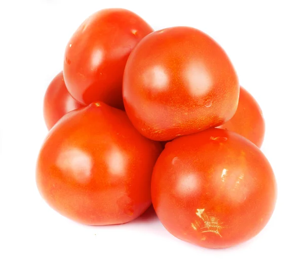 stock image Tomatoes on white background