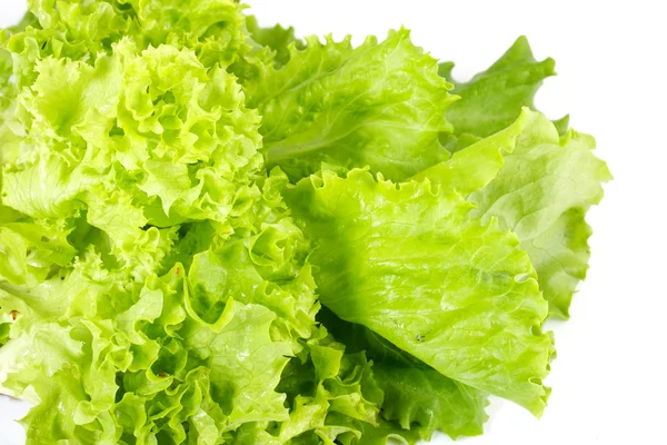 Salatblätter auf einem weißen — Stockfoto
